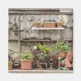 Imã Decorações na cerca de madeira, ilha Catalina,