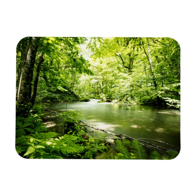 Ímã Deep In the Forest (Horizontal)