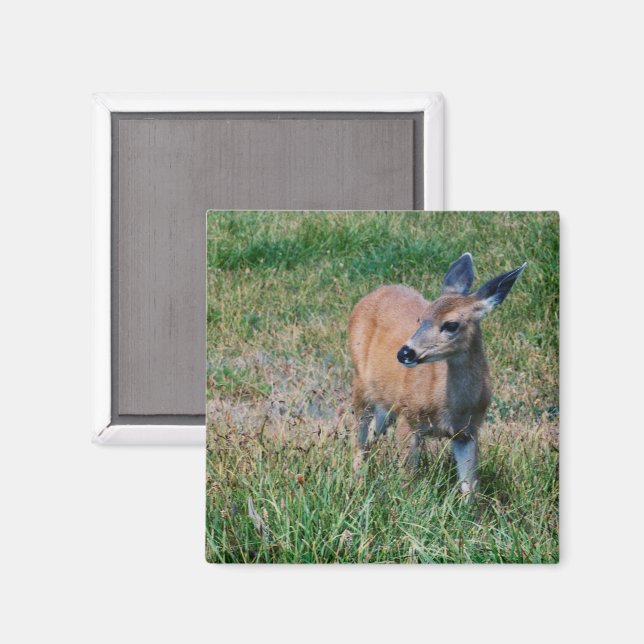 Imã Deer (Front/Back)