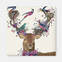Deer Birdkeeper, Ninhos De Aves Tropicais