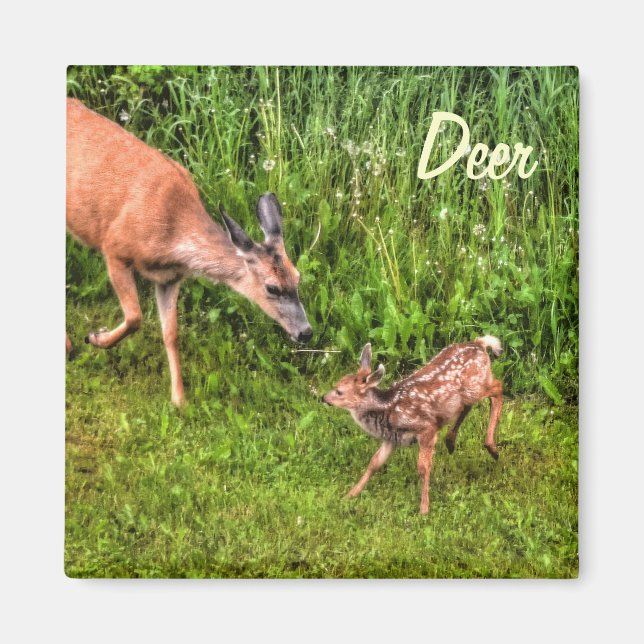 Imã Deer Doe Fawn Wildlife Design (Frente)