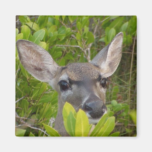 Imã Deer Lovers - Ideias de presentes (Frente)