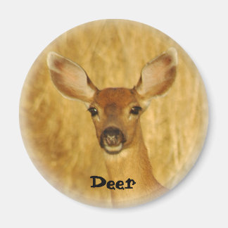 Imã Deer Magnet