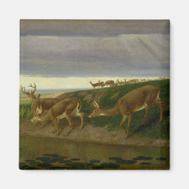 Imã Deer on the Prairie (por William Holbrook Beard)