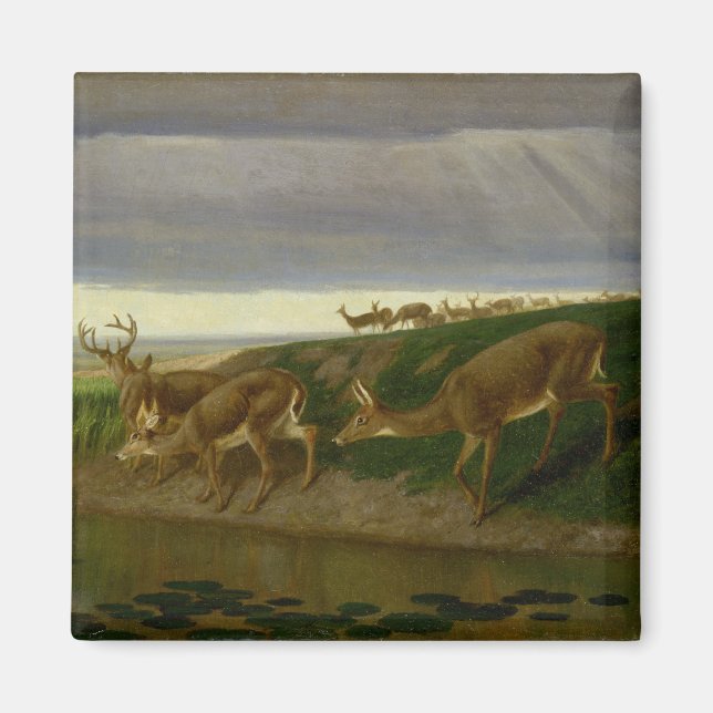Imã Deer on the Prairie (por William Holbrook Beard) (Frente)