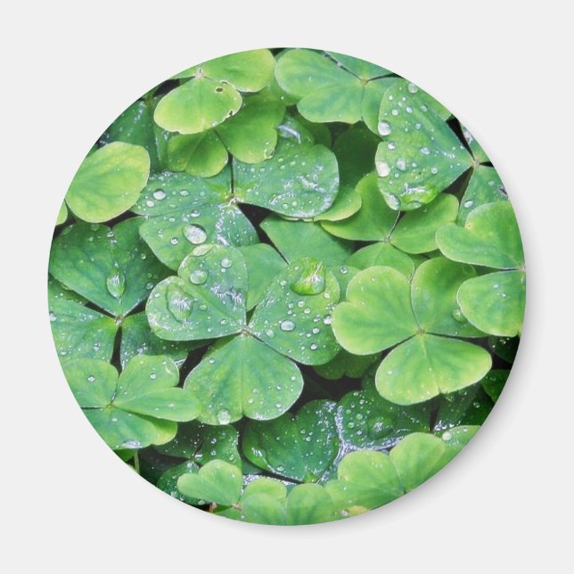 Imã Deerpark Ireland Clover Dew Drops (Frente)
