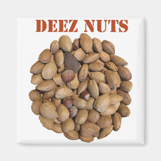 Imã Deez Loucos