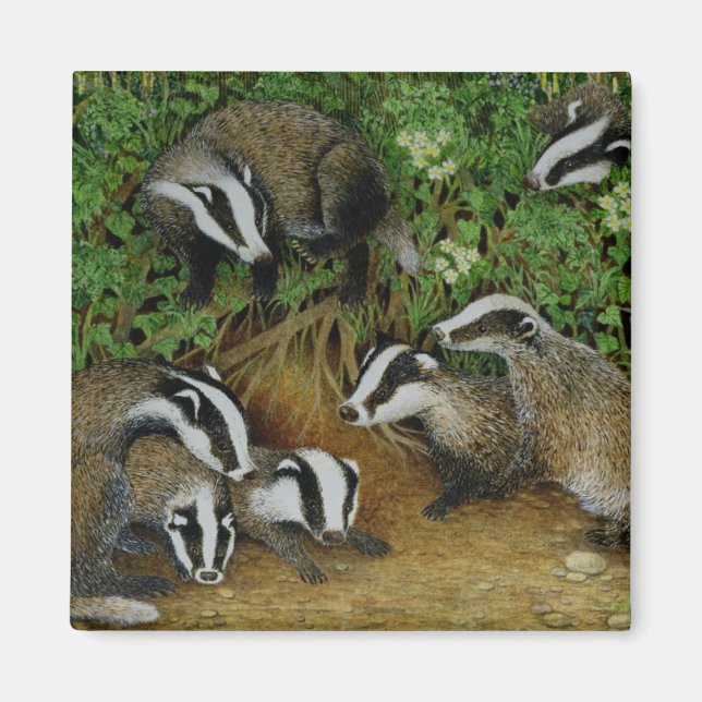 Imã Definição (Frente)