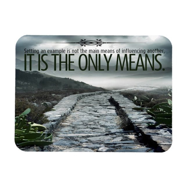 Ímã "Definindo um exemplo" Flexível de Cotação Inspira (Horizontal)