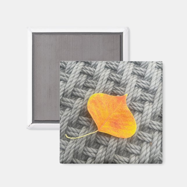 Imã Deixa o Magnet (Front/Back)