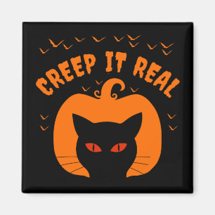 IMÃ DEIXE ASSUSTADOR SER ENGRAÇADO GATO HALLOWEEN