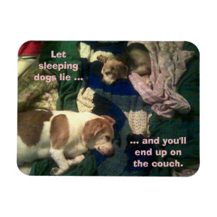 Ímã Deixe Cachorros Dormindo/Acabe No Magnete 3x4