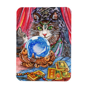 Ímã Deixe-Me Contar Sua Fortuna