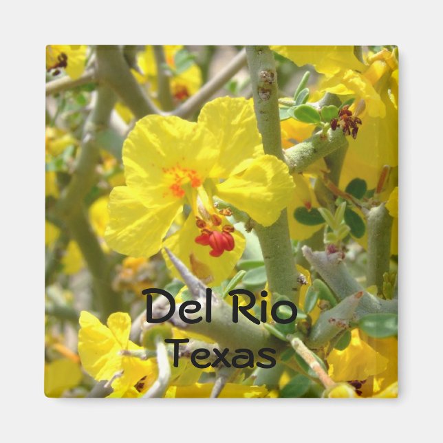 Imã Del Rio Texas Amarelo Magnet Flor Althorn (Frente)
