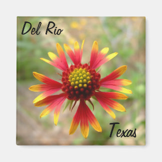 Imã Del Rio Texas magnet blanketflower wildflower texa