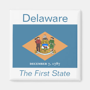 Imã Delaware Flag Magnet