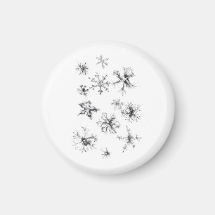 Imã Delicar Flocos de Neve de Queda