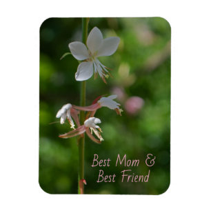 Ímã Delicar Flores Rosa Melhor Magneta Amiga Da Mãe