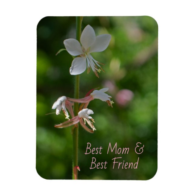 Ímã Delicar Flores Rosa Melhor Magneta Amiga Da Mãe (Vertical)