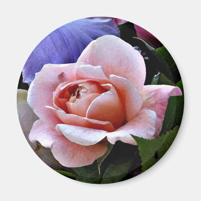 Imã Delicar Rosa Magnet (Frente)