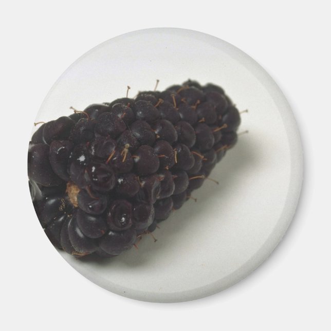 Imã Delicious Blackberry (Frente)