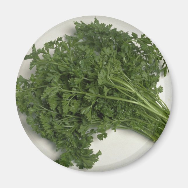 Imã Delicious Parsley (Frente)