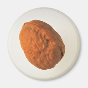 Imã Delicious Walnut