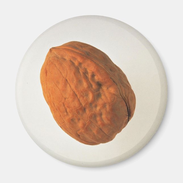 Imã Delicious Walnut (Frente)