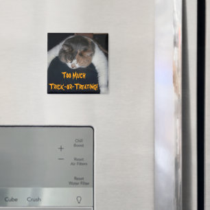 Imã Demasiado truque ou tratamento!