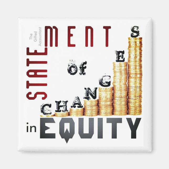 Imã "Demonstração De Alterações No Capital Próprio" (Frente)