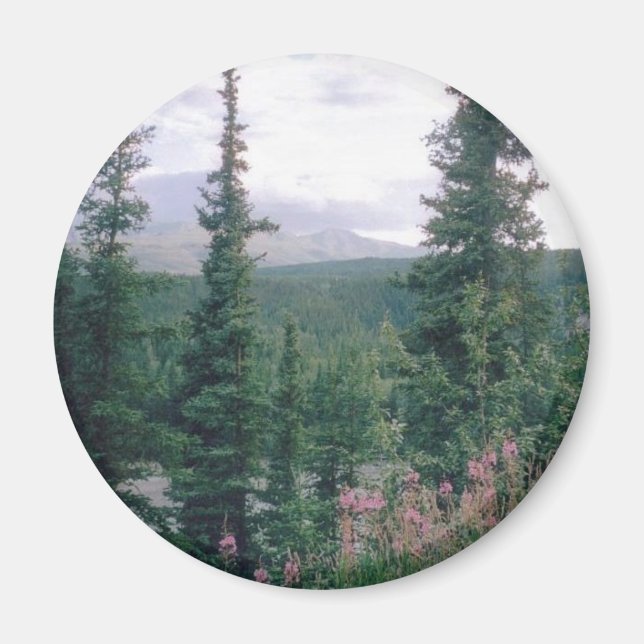 Imã Denali - Alasca (Frente)