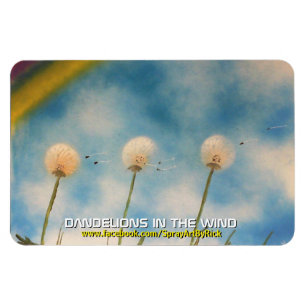 Ímã Dentes-de-leão no vento