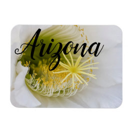 Ímã Dentro de um cacto branco em flor, Arizona