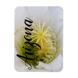 Ímã Dentro de um cacto branco em flor, Arizona