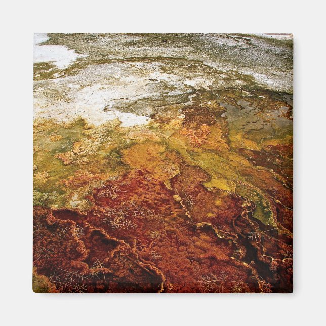 Imã Depósitos minerais multicoloridos em Yellowstone (Frente)