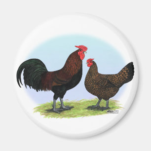 Imã Derbyshire Redcap Fowl