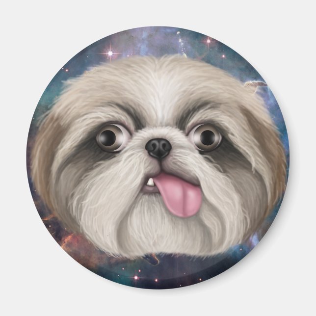 Imã Derpy Shih Tzu (Frente)
