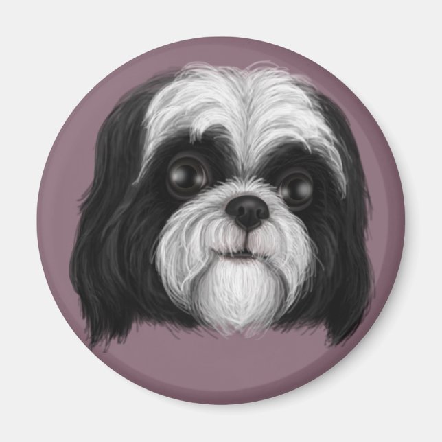 Imã Derpy Shih Tzu (Frente)