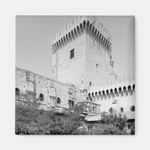 Imã DES Papes de Palais, Palais Vieux de Benedict XII