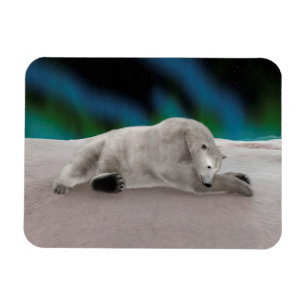 Ímã Descanso de Urso Polar