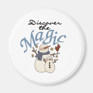 Imã Descubra a magia