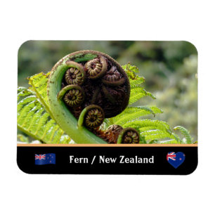Ímã Desdobrando Fern, Nova Zelândia, Wilderness