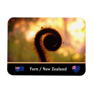 Ímã Desdobrando Fern, Nova Zelândia, Wilderness/Aotea