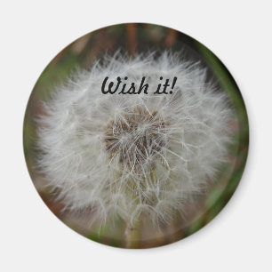 Imã Deseje-lhe o ímã