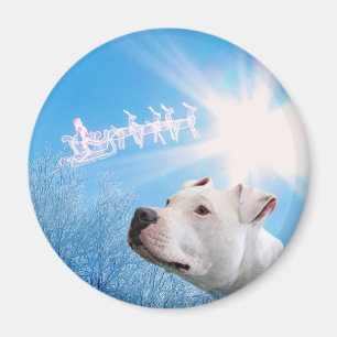 Imã Desejo branco do Natal do cão de PItbull