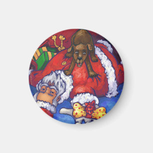 Imã Desejo de Natal