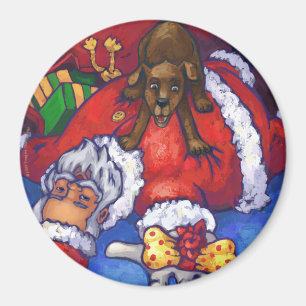 Imã Desejo de Natal