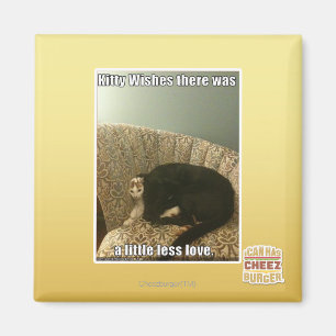 Imã Desejos do gatinho