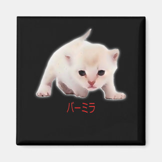 Imã Desenhar Engraçado Burmilla Cat Japão Pai Mãe Bro