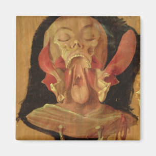 Imã Desenho anatômico da cabeça